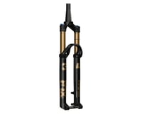 Fox Suspension Factory Series 34 SL Suspension Fork (Shiny Black)