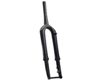 Cane Creek Invert SL Suspension Gravel Fork (Black) (45mm Offset) (700c) (30mm)