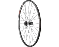 Quality Wheels Value Double Wall Series Disc Rear Wheel (Black)