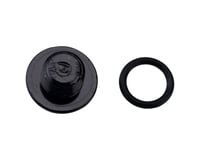 Shimano Bleed Port Screw & O-Ring